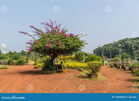 Kamala Nehru Park In Mumbai India Editorial Stock Image Image Of