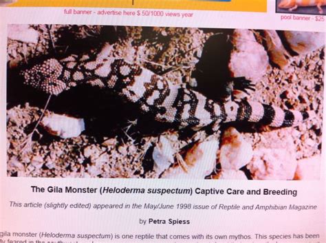 Pin On Gila Monster Scientific