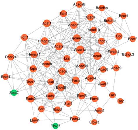 Proteinprotein Interaction Networks Of Lipid Metabolism Genes Of The Download Scientific