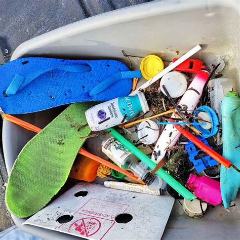 Marine Debris December 2022 Fishers Island Conservancy