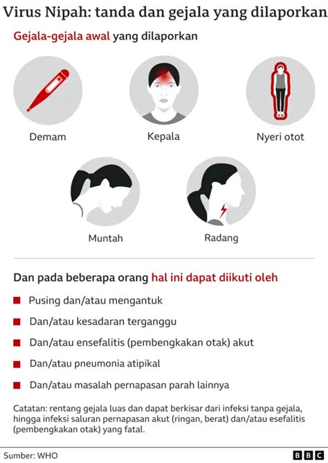 Apa Itu Virus Nipah Apa Saja Gejalanya Dan Apakah Akan Jadi Pandemi