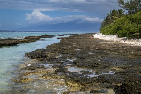 C Te Sauvage Teame Moorea Stephane Maes Flickr