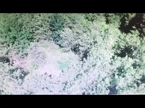 Kocaeli De Drone Destekli Uyu Turucu Operasyonu Youtube