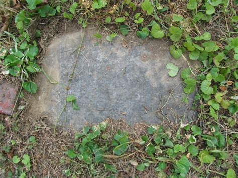 Reuben Daveler Find A Grave Memorial