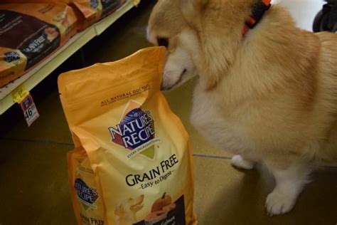 Affordable #NaturesRecipe Grain-Free Pet Food - Some Pets