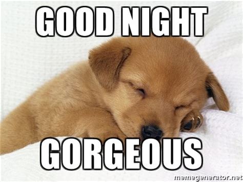 Cutest Goodnight Memes Sayingimages