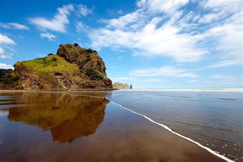 Bethells Beach In Auckland