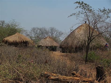 CORVOS E CROCODILOS CONSTRUÇÃO TRADICIONAL EM MOÇAMBIQUE