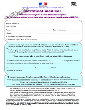 Remplissable En Ligne Mdph Minist Re Du Travail Des Relations