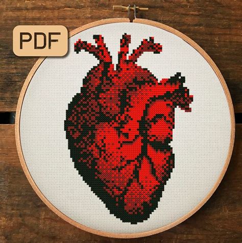 Anatomical Heart Cross Stitch Pattern Human Heart Cross Etsy Cross