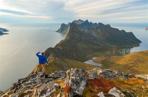 Top Things To Do In Lofoten Hiking Northern Lights Whale Watching