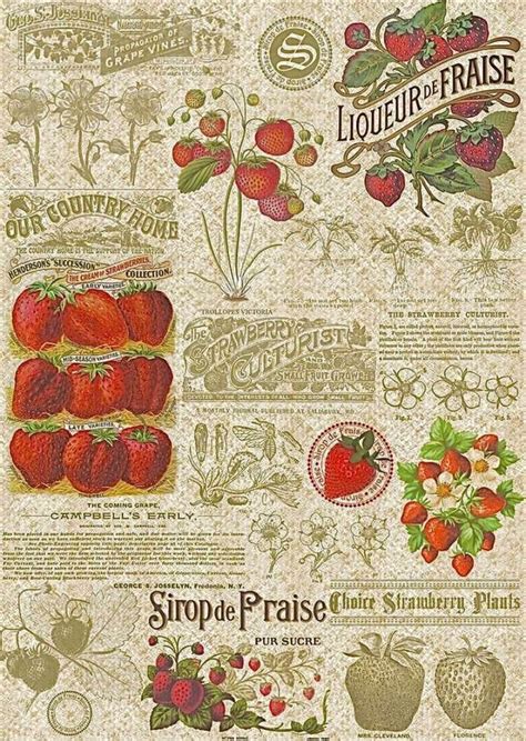 Pin by анннннннннннн on я хочу жизни | Vintage poster art, Art collage ...