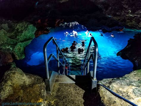 Devils Den A Prehistoric Diving Experience In Florida