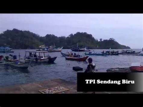 TPI Tempat Pelelangan Ikan SENDANG BIRU MALANG SELATAN YouTube