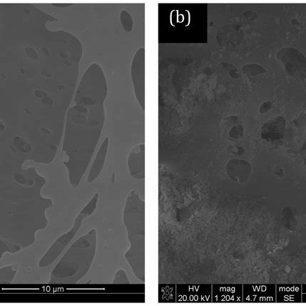 Sem Image Of A Polysulfone Psf Membrane A Low And B High