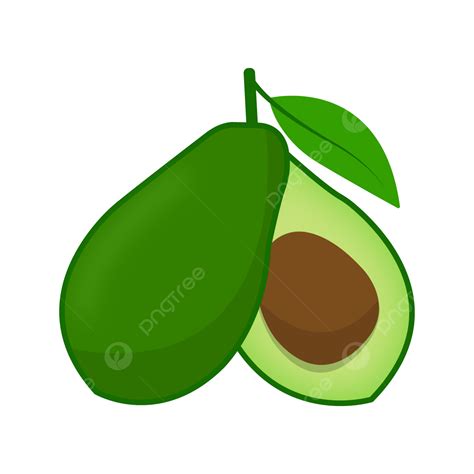 Avocado Vector Illustration Avocado Fruit Avocado Clipart PNG And