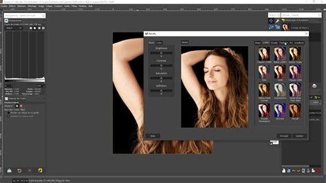 TUTO GIMP Le guide complet pour bien démarrer avec Gimp 2 10 sur Tuto