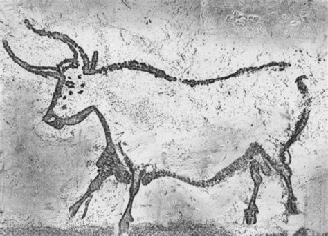 About the Aurochs | Rock art, Cave paintings, Art