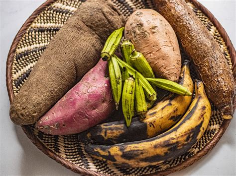 L Gumes Et Tubercules Dafrique Subsaharienne Part Djaam