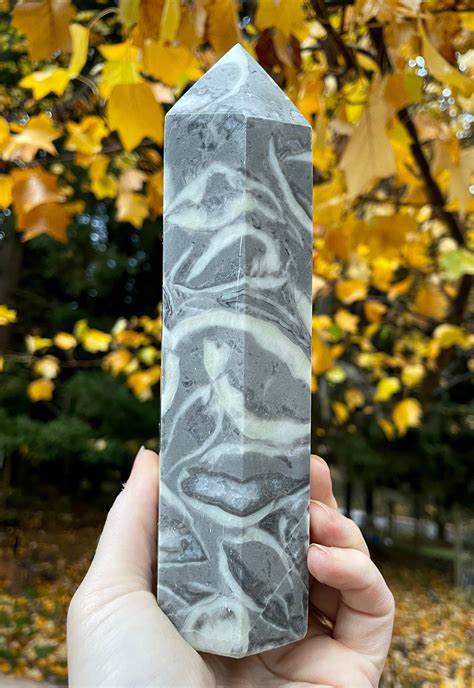 222 Lb Thousand Eyes Stone Or Fossil Shellstone Jasper Obelisk Pillar