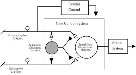 Gate Control Theory Of Pain Pdf