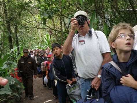 Parque Nacional Del Manu America Del Sur Peru