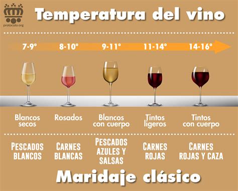 Cómo Servir El Vino Conservar El Vino Consejos