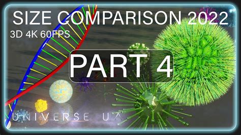 Ultimate Size Comparison 2022 Part 4 3d 4k 60fps Youtube