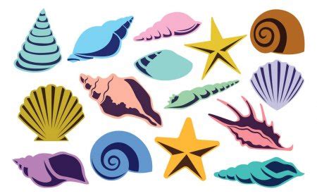 Seashells And Starfish Stock Vector Sibiryanka 10781304