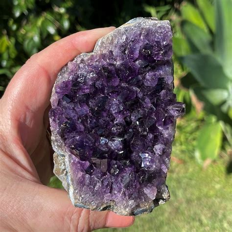 Amethyst Cluster Upright for understanding - The Rock Crystal Shop