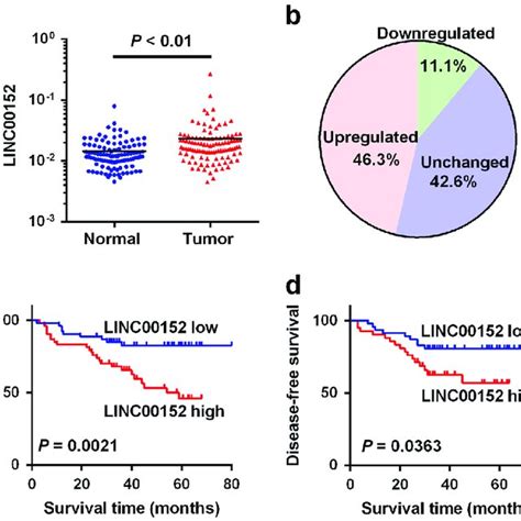 Linc Is Upregulated In Tumor Tissues Of Crc A Relative Expression