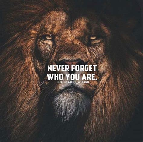 Inspirational Attitude Lion Quotes Shortquotes Cc