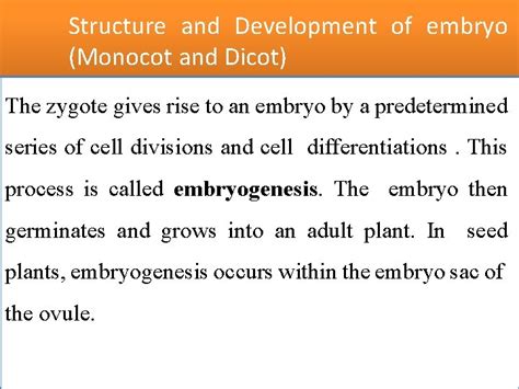 Structure And Development Of Embryo Monocot And Dicot