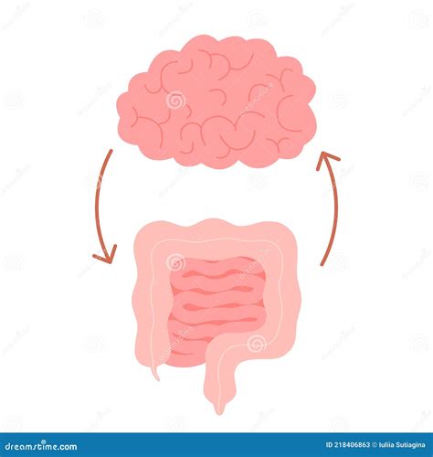 Connection Of Cute Healthy Happy Brain And Intestine Gut Relation