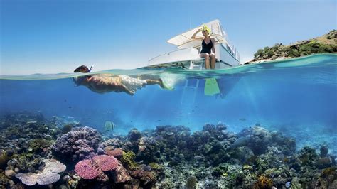 Qantas Pledges M To Qlds Great Barrier Reef News Au