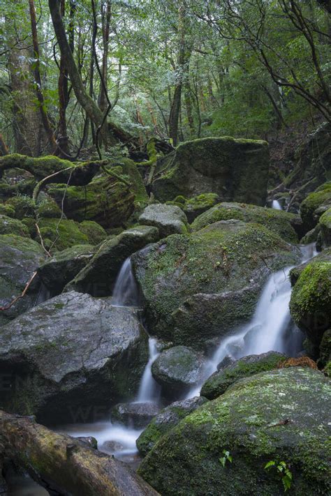 Japan, Yakushima, Waterfall in the rainforest, World Heritage, natural ...