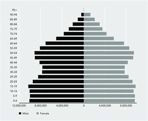 Sex Age Pyramid Of Us Born Population In The Us 2010 Download Scientific Diagram