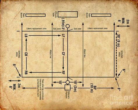 Volleyball Court Diagram Digital Art by Visual Design | Pixels