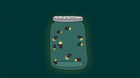 Fireflies GIFs - Find & Share on GIPHY