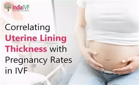 Correlating Uterine Lining Thickness With Pregnancy Rates In Ivf