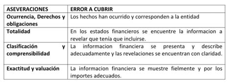 Afirmaciones En Los Estados Financieros De La Paz Costemalle Dfk