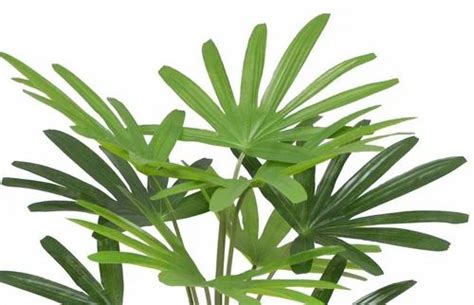 Green Fourwalls Artificial Rhapis Palm Tree Cm For Decoration At