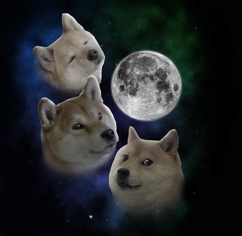 3 Doge Moon : r/doge