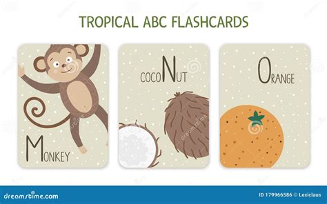 Colorful Alphabet Letters M N O Phonics Flashcard With Tropical