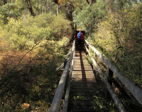 Mundlimup Tmber Trails Jarrahdale Trails Wa