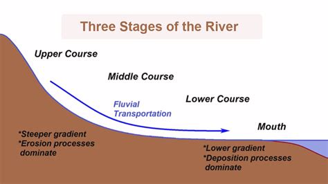 River Stages Diagram