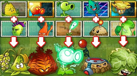 Plants Vs Zombies 2 Challenge Pvz 2 Fusion Plants To Evolution Best Plants Plants Plants