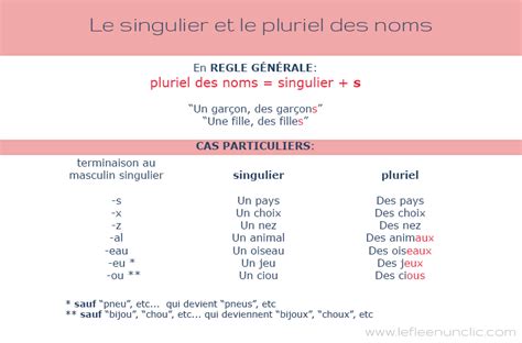 Le Fle En Un Clic Le Singulier Et Le Pluriel