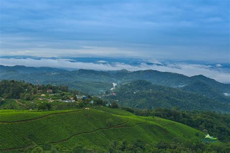 Misty Mountain Resort Munnar | Resorts in Munnar | Top 10 Resort in ...