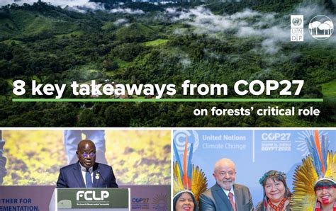 8 Key Takeaways From Cop27 On Forests Critical Role Climate And Forests